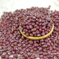 Adzuki Bean, small red bean, red adzuki bean pulses